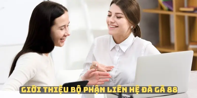 Giới thiệu về dịch vụ CSKH Đá Gà 88 