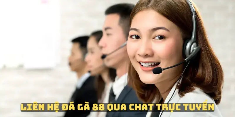 Kênh liên hệ Đá Gà 88 hỗ trợ người dùng